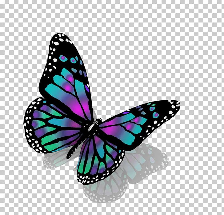 Monarch Butterfly Stock Photography PNG, Clipart, Brush Footed Butterfly, Butterfly, Drawing, Insect, Insects Free PNG Download