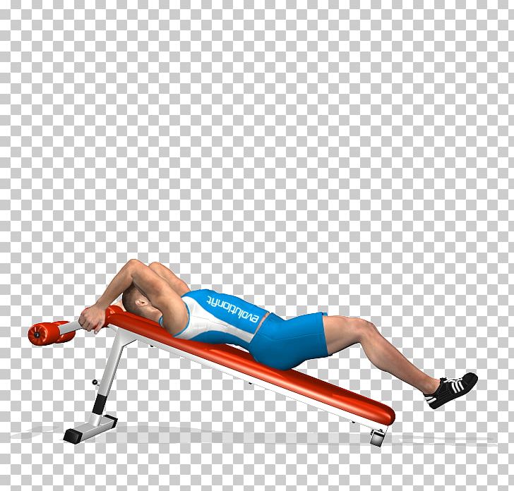Bench Crunch Muscle Exercise Shoulder PNG, Clipart, Abdomen, Abdominal External Oblique Muscle, Angle, Arm, Bench Free PNG Download