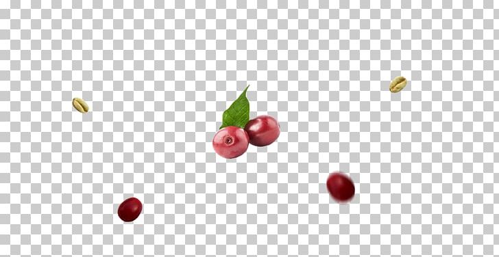 Cranberry Food Lingonberry Pink Peppercorn PNG, Clipart, Berry, Cherry, Closeup, Computer, Computer Wallpaper Free PNG Download