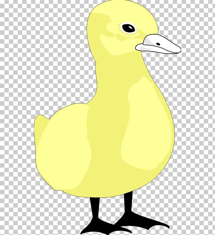 Duck Illustration Cartoon Bird PNG, Clipart, Animaatio, Artwork, Beak, Bird, Cartoon Free PNG Download