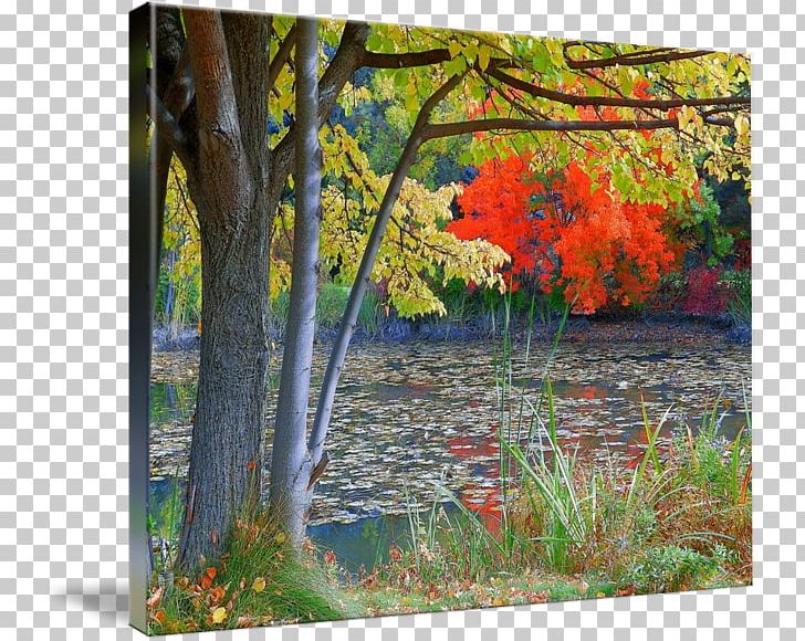 Painting Acrylic Paint Gallery Wrap Canvas Art PNG, Clipart, Acrylic Paint, Art, Autumn, Autumn Price To, Bank Free PNG Download