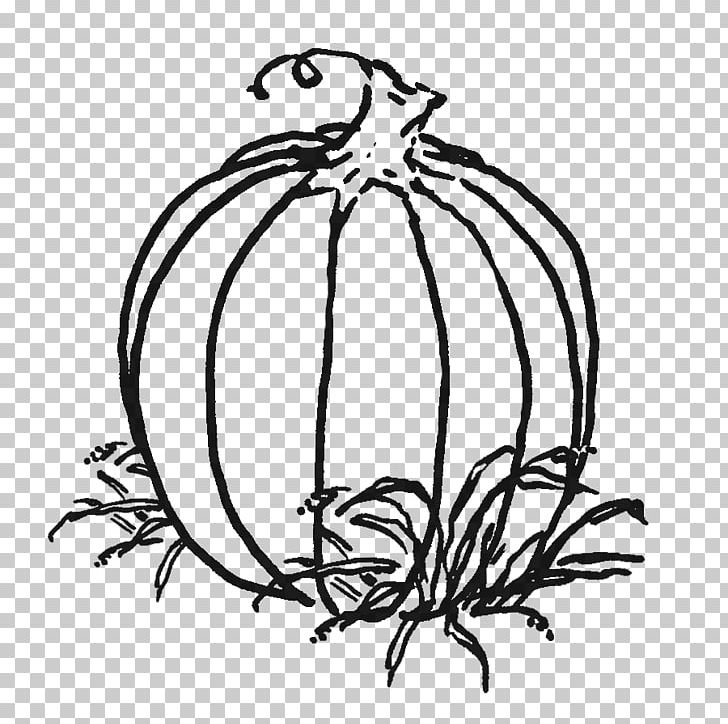 Pumpkin Drawing PNG, Clipart, Artwork, Black And White, Branch, Coloring Book, Cucurbita Pepo Free PNG Download