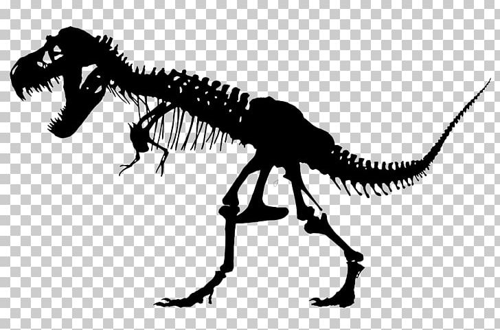Tyrannosaurus Triceratops Skeleton Sue Dinosaur PNG, Clipart, Black And White, Bone, Dinosaur, Dinosaur Skeleton, Drawing Free PNG Download