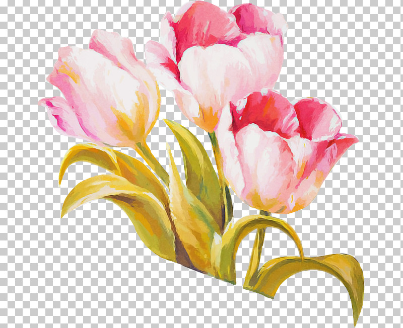 Flower Bouquet PNG, Clipart, Cut Flowers, Floral Design, Flower, Flower Bouquet, Painting Free PNG Download