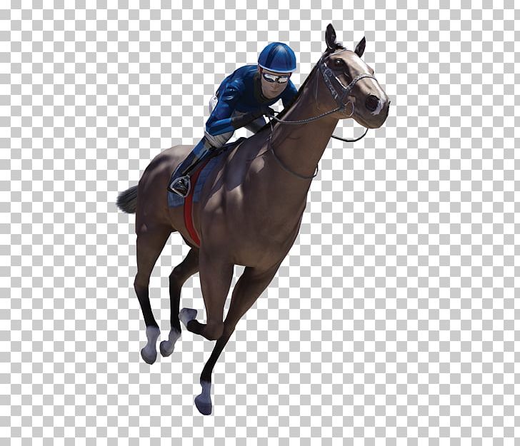 Horse Racing Jockey Stallion Sports Betting PNG, Clipart, Animals, Animal Sports, Bit, Bridle, Equestrian Free PNG Download