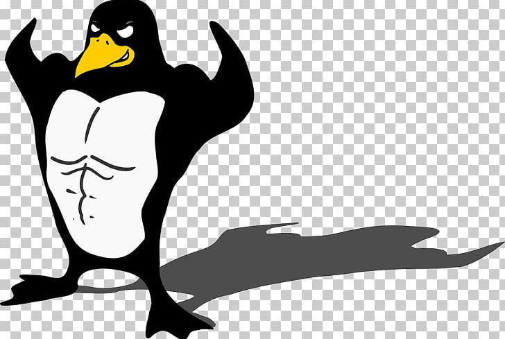 Penguin Bird Muscle Biceps PNG, Clipart, Animals, Art, Beak, Biceps, Bird Free PNG Download