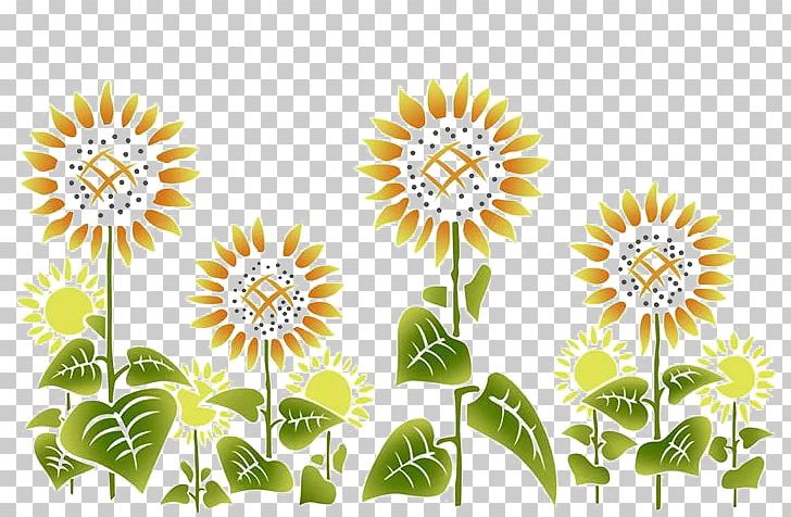 Common Sunflower PNG, Clipart, Area, Dahlia, Daisy Family, Flower, Flower Arranging Free PNG Download