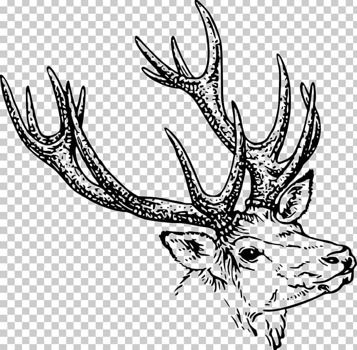 Deer Drawing Line Art PNG, Clipart, Animals, Antler, Art, Artwork, Black And White Free PNG Download