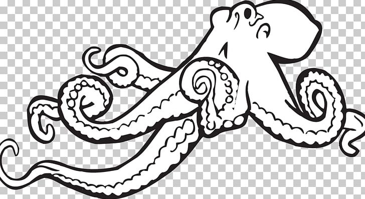 Octopus PNG, Clipart, Art, Artwork, Black And White, Download, Drawing Free PNG Download