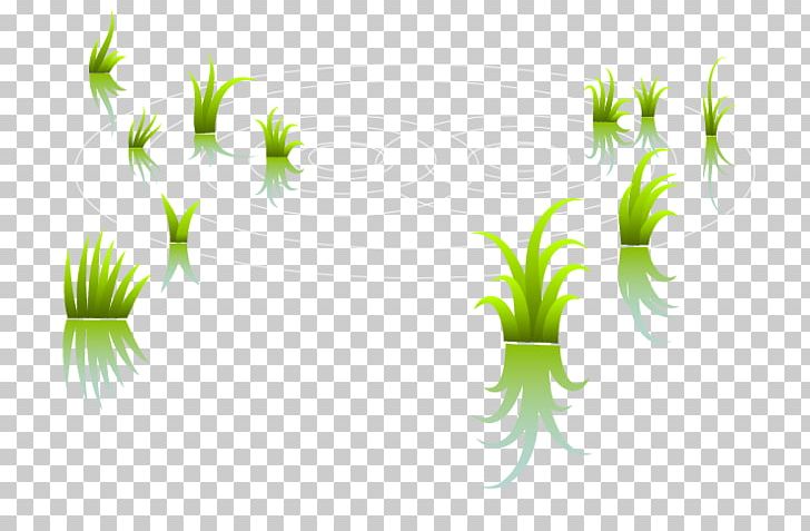 Paddy Field Arable Land Graphic Design PNG, Clipart, Computer Wallpaper, Download, Encapsulated Postscript, Field, Fields Free PNG Download