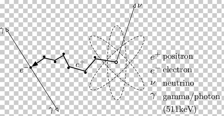 Positron Electron Charged Particle Antiparticle Atom PNG, Clipart, Angle, Annihilation, Antiparticle, Area, Atom Free PNG Download