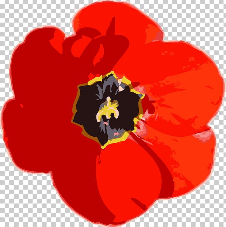 Red Tulip Flower PNG, Clipart, Desktop Wallpaper, Flower, Flowering Plant, Flowers, Orange Free PNG Download