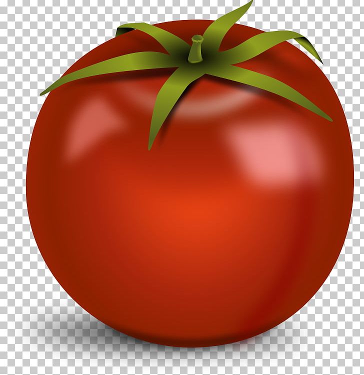 Tomato Desktop PNG, Clipart, Apple, Bush Tomato, Christmas Ornament, Diet Food, Display Resolution Free PNG Download