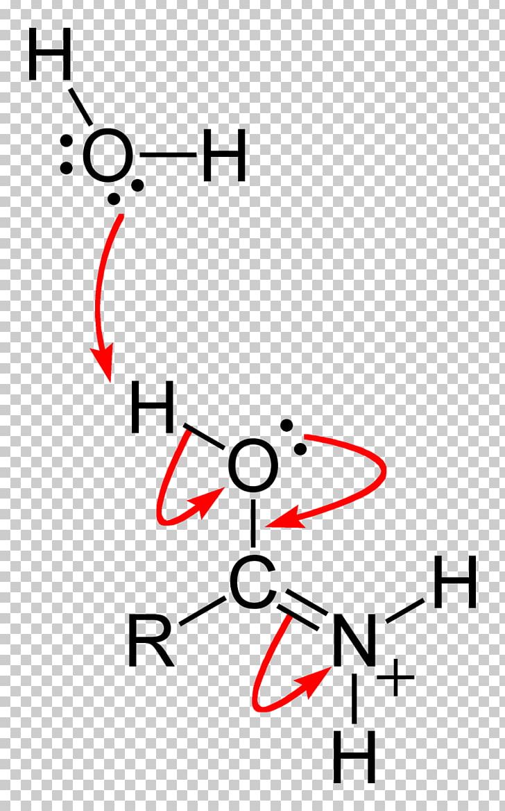 Carboxamide Chemistry Atom Peptide Bond PNG, Clipart, Alkane, Amide, Amine, Angle, Area Free PNG Download