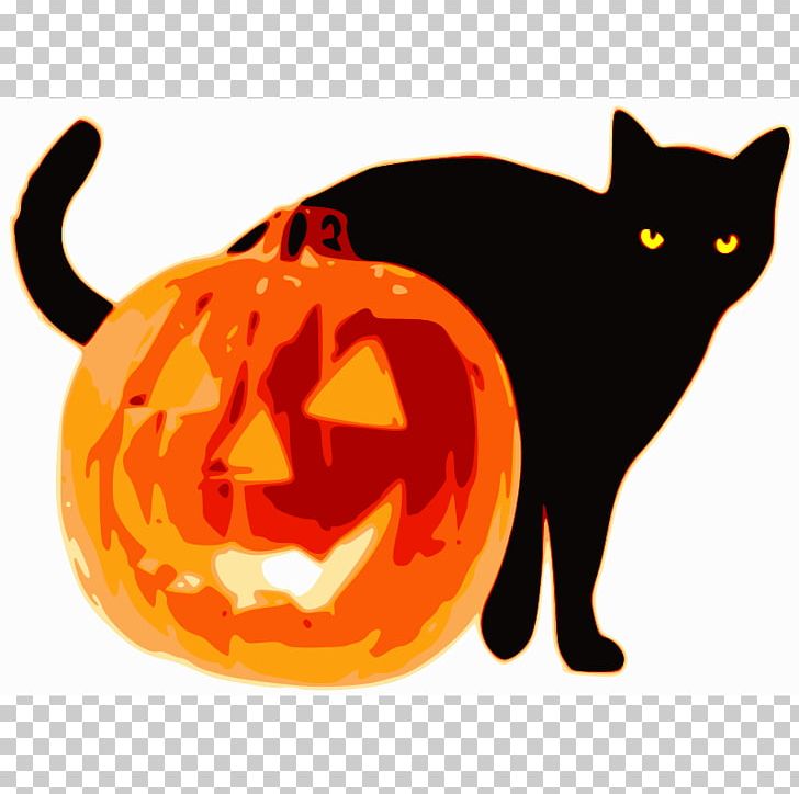 Jack-o-lantern Halloween Pumpkin PNG, Clipart, Calabaza, Carnivoran, Carving, Cat, Cat Like Mammal Free PNG Download