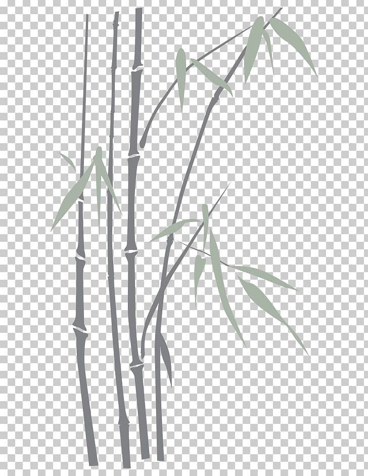 Line Angle PNG, Clipart, Angle, Art, Bamboo, Branch, Grass Family Free PNG Download
