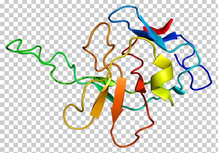 RABIF Protein Gene RAB8A PNG, Clipart, Area, Artwork, Gene, Genome, Guanine Nucleotide Exchange Factor Free PNG Download