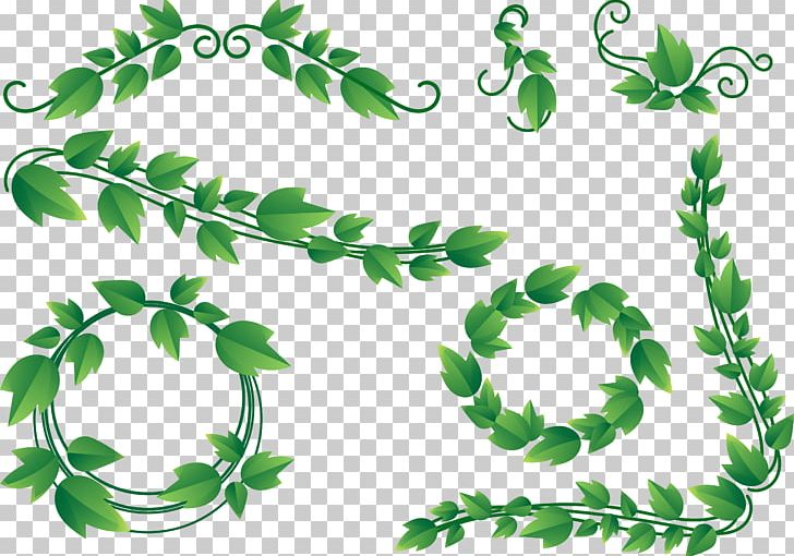 Vine Ivy PNG, Clipart, Border Frames, Branch, Clip Art, Computer Icons, Drawing Free PNG Download