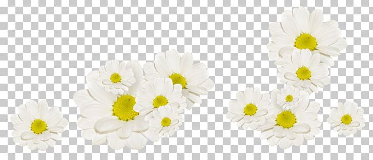 White Flower Fleur Blanche PNG, Clipart, Background White, Black White, Decora, Decorative, Download Free PNG Download