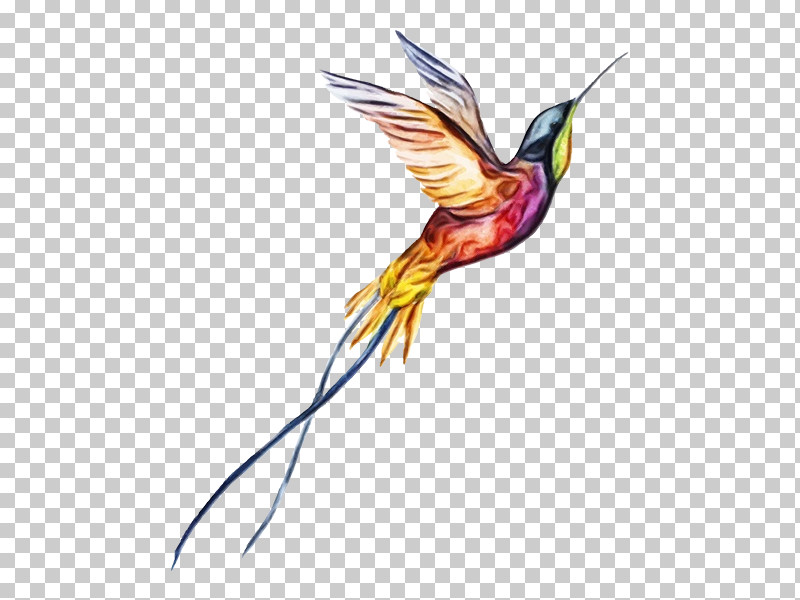 Tattoo Arley Sign временные татуировки Temporary Tattoo | Hummingbird Physical Fitness Supperb Temporary Tattoos PNG, Clipart, Birds, Flash, Organization, Paint, Physical Fitness Free PNG Download