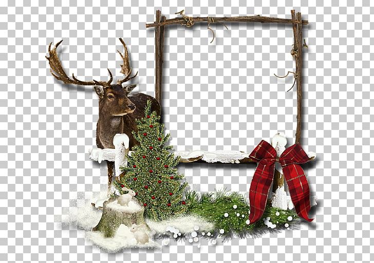 Christmas Card Paper Scrapbooking PNG, Clipart, Antler, Cari, Christmas, Christmas Card, Christmas Decoration Free PNG Download