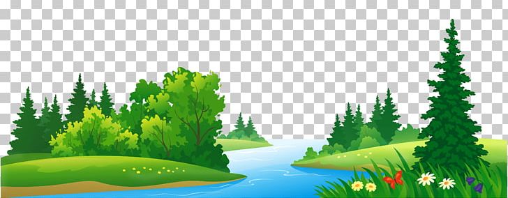 Forest PNG, Clipart, Biome, Blog, Cartoon, Computer Wallpaper, Download  Free PNG Download