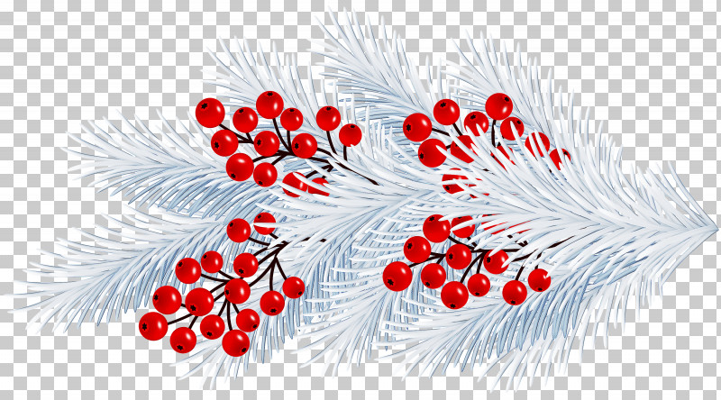 Feather PNG, Clipart, Branch, Feather, Flower, Holly, Plant Free PNG Download
