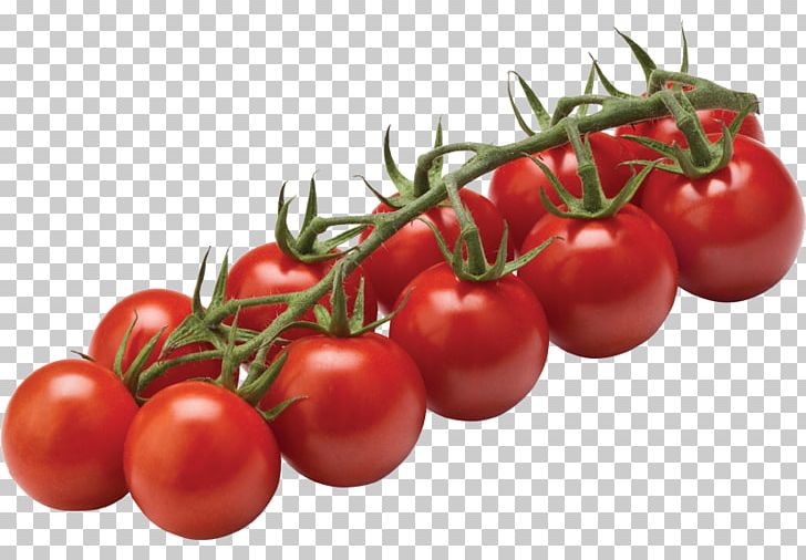 Cherry Tomato Vegetable Beefsteak Tomato Fruit PNG, Clipart, Apricot, Bush Tomato, Capsicum, Cherry, Diet Food Free PNG Download