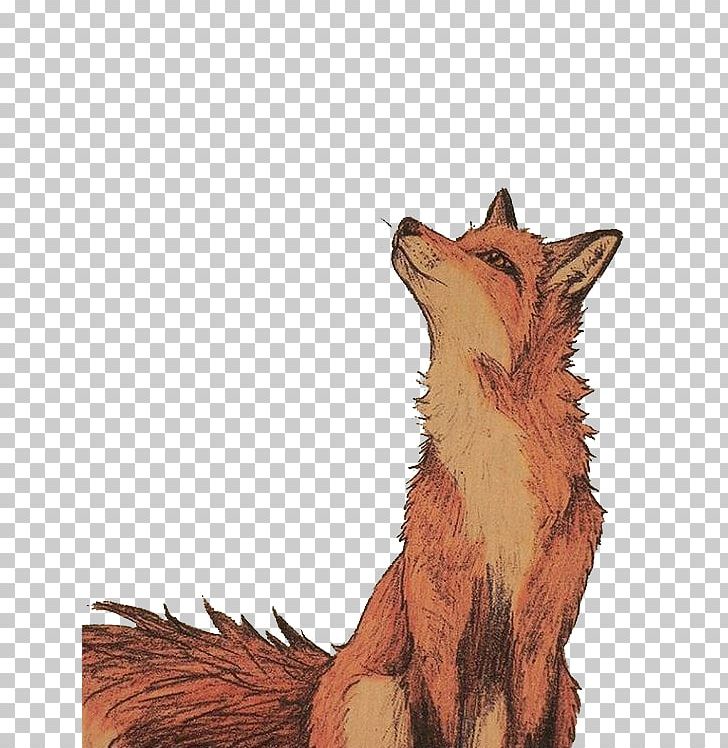 Drawing Art Fox Watercolor Painting Illustration PNG, Clipart, Animals, Brown, Carnivoran, Cartoon Fox, Clear Free PNG Download