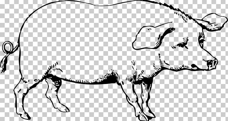 Large White Pig Vietnamese Pot-bellied Drawing PNG, Clipart, Animal, Carnivoran, Cartoon, Cat Like Mammal, Cow Goat Family Free PNG Download