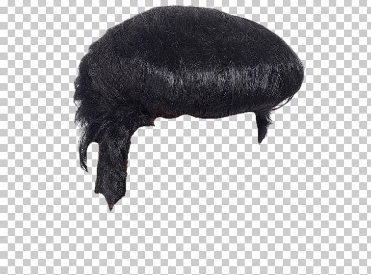 Wig PNG, Clipart, Afro, Black, Fur, Furcap, Furniture Free PNG Download