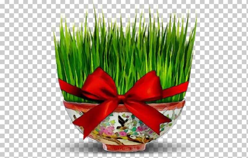 Grass Plant Grass Family Flowerpot PNG, Clipart, Flowerpot, Grass, Grass Family, Paint, Plant Free PNG Download