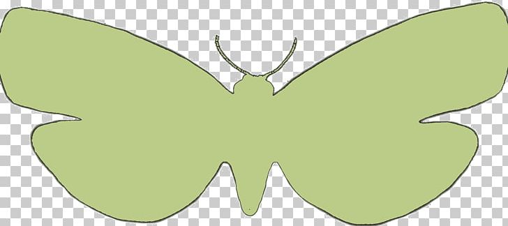 Brush-footed Butterflies Moth Butterfly Green PNG, Clipart, Arthropod, Brush Footed Butterfly, Butterflies And Moths, Butterfly, Green Free PNG Download