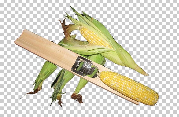 Corn On The Cob Sweet Corn Commodity PNG, Clipart, Commodity, Corn, Corn On The Cob, Creamer, Cutter Free PNG Download