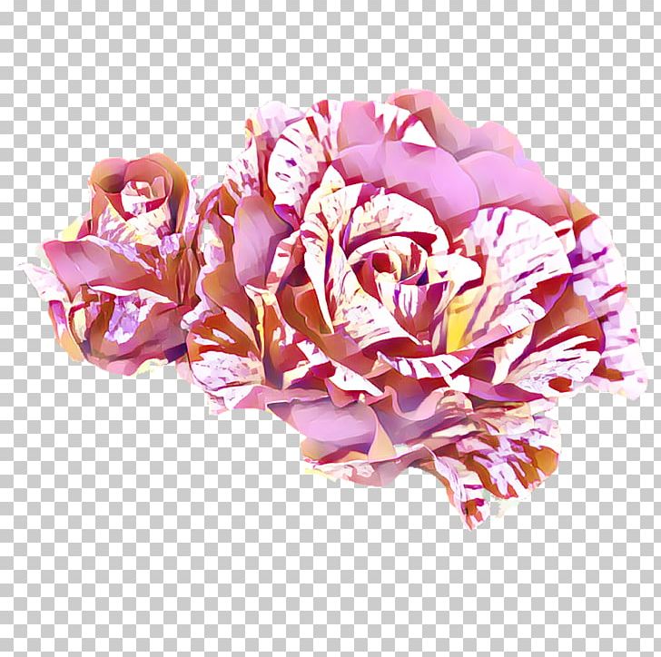 Garden Roses Cabbage Rose Cut Flowers Flower Bouquet PNG, Clipart, Bouquet, Carnation, Cut Flowers, Flower, Flower Bouquet Free PNG Download