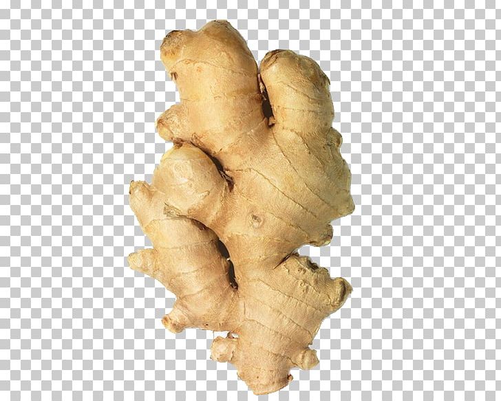 Ginger Root Vegetables Jojoba Oil Condiment PNG, Clipart, Carrier Oil, Cosmetics, Essential Oil, Food Drinks, Fresh Ginger Free PNG Download