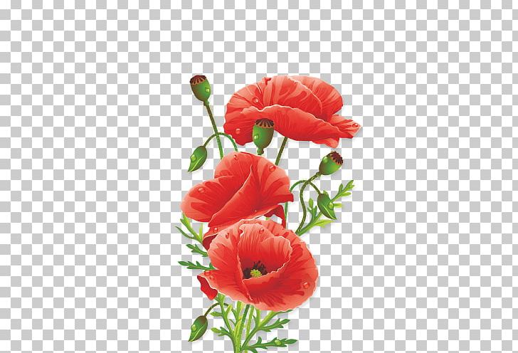 Poppy Wall Decal Sticker Flower PNG, Clipart, Color, Common Poppy, Coquelicot, Flower, Nature Free PNG Download