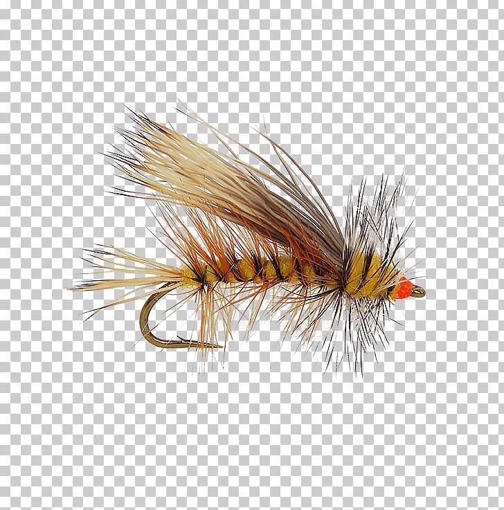 Artificial Fly Yellow Insect Pattern Umpqua Stimulator Kaufmann Barbless PNG, Clipart, Artificial Fly, Dry Fly Fishing, Fishing, Fly, Fly Fishing Free PNG Download