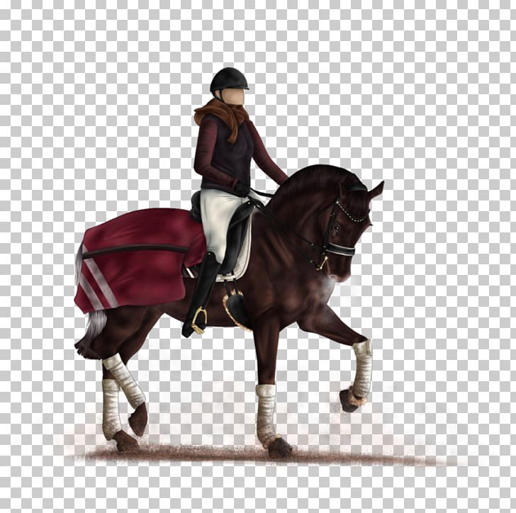 Hunt Seat Stallion Bridle Horse Mare PNG, Clipart, Bit, Bridle, Dressage, English Riding, Equestrian Free PNG Download