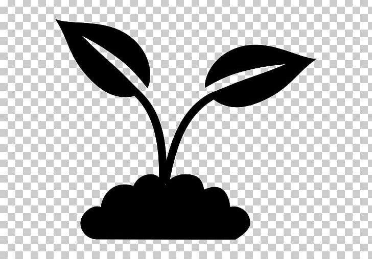 Plant Computer Icons Leaf PNG, Clipart, Aquaponics, Artwork, Black, Black And White, Branch Free PNG Download