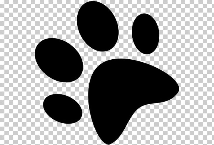 Smooth Collie Puppy Rough Collie Paw Litter PNG, Clipart, Animal, Animals, Black, Black And White, Blue Merle Free PNG Download