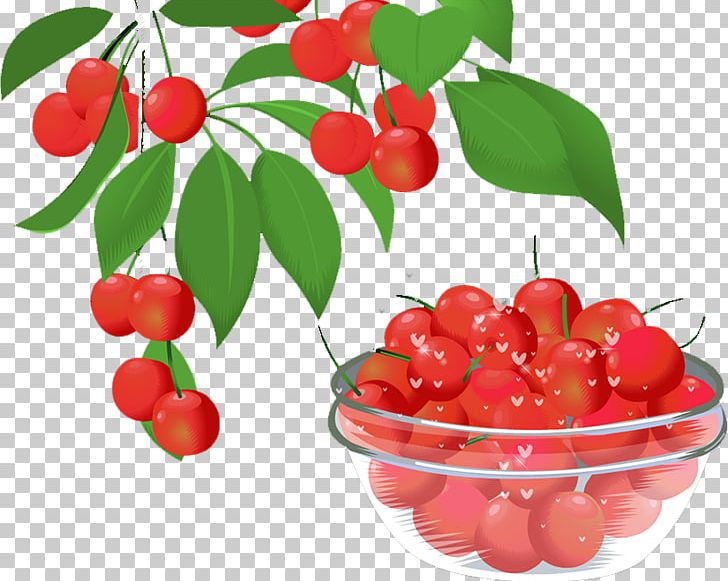 Barbados Cherry Lingonberry Cranberry Food PNG, Clipart, Acerola, Acerola Family, Berry, Cherries, Cherry Free PNG Download