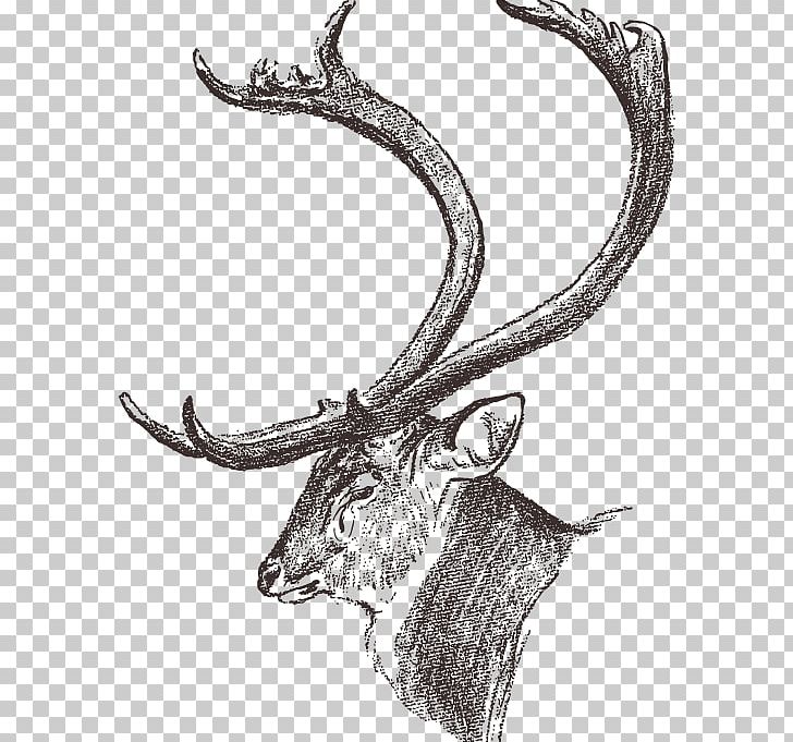 Dhole Chital Elk Antler Drawing PNG, Clipart, Animals, Antlers, Antlers Vector, Axis, Black Free PNG Download