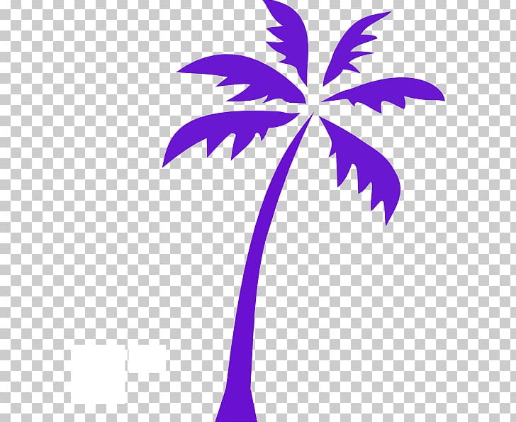 Arecaceae PNG, Clipart, Arecaceae, Arecales, Branch, Date Palm, Flora Free PNG Download