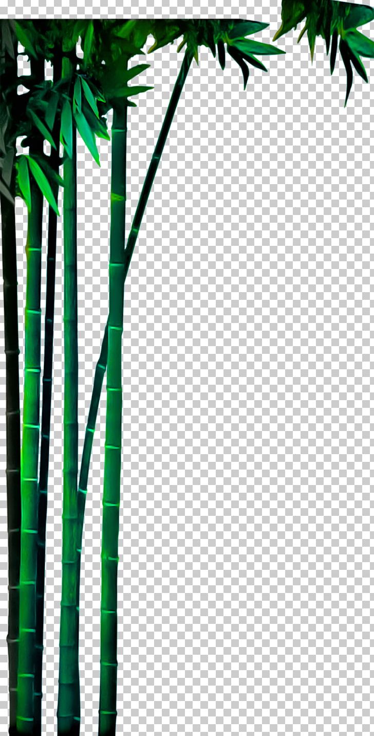 Bamboo Bamboe Green PNG, Clipart, Background Green, Bamboe, Bamboo, Bamboo Forest, Branch Free PNG Download