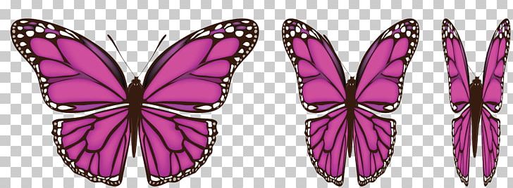 Butterfly Wing PNG, Clipart, Brush Footed Butterfly, Butterfly, Download, Drawing, Encapsulated Postscript Free PNG Download