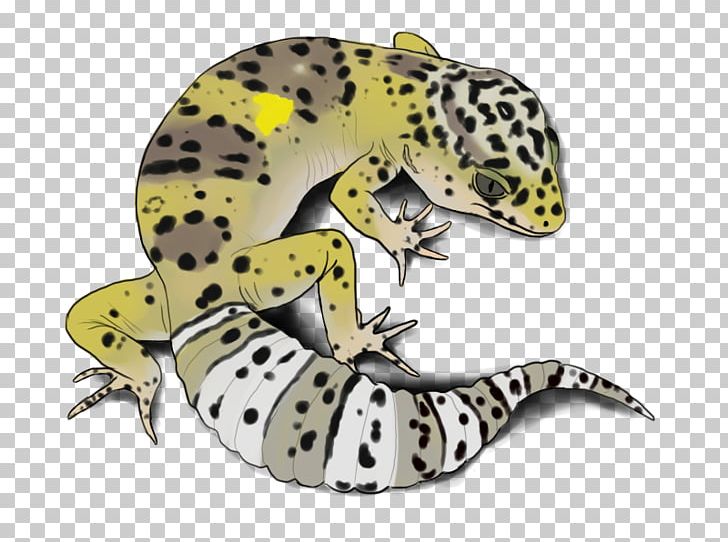Gecko Frog Terrestrial Animal PNG, Clipart, Amphibian, Animal, Common Leopard Gecko, Fauna, Frog Free PNG Download