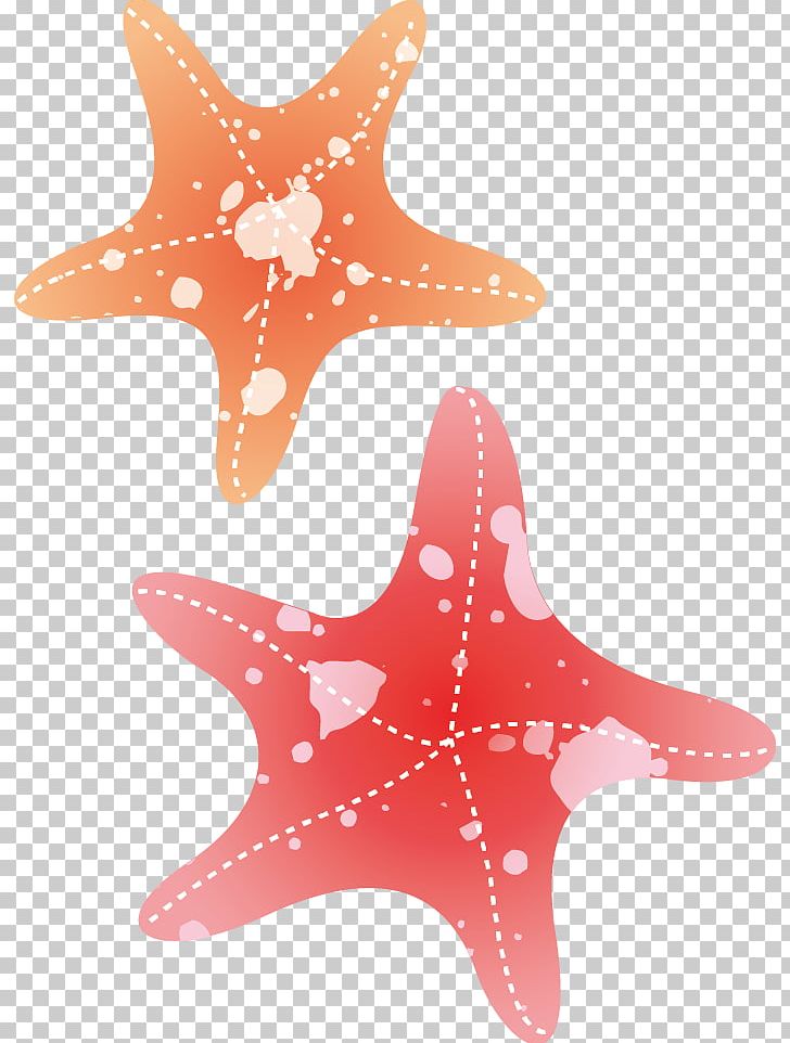 Starfish Drawing Watercolor Painting PNG, Clipart, Animals, Animation, Beautiful Starfish, Encapsulated Postscript, Invertebrate Free PNG Download