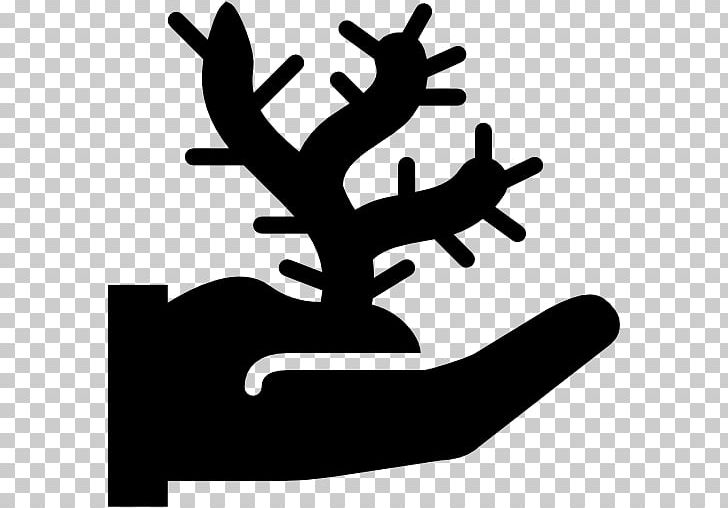 Symbol Computer Icons Nature PNG, Clipart, Antler, Artwork, Black And White, Botany, Computer Icons Free PNG Download
