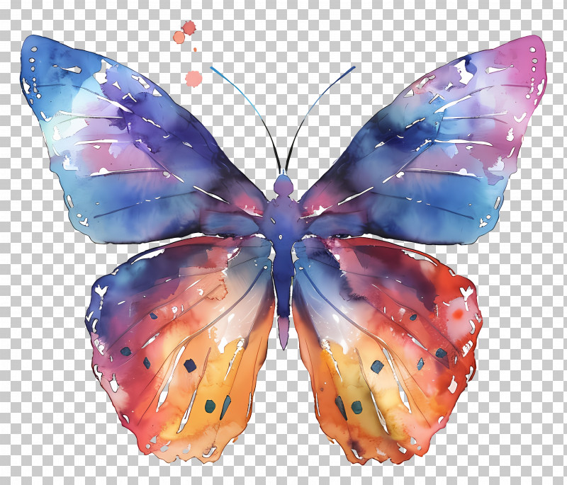 Watercolor Butterfly - Watercolor Butterfly With Vibrant Wings PNG